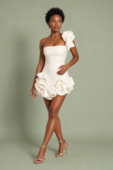 Asymmetric Ruffle Bustier Dress